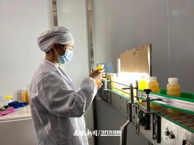 六盤水 產業轉型蹄疾步穩，獼猴桃變身“致富果”